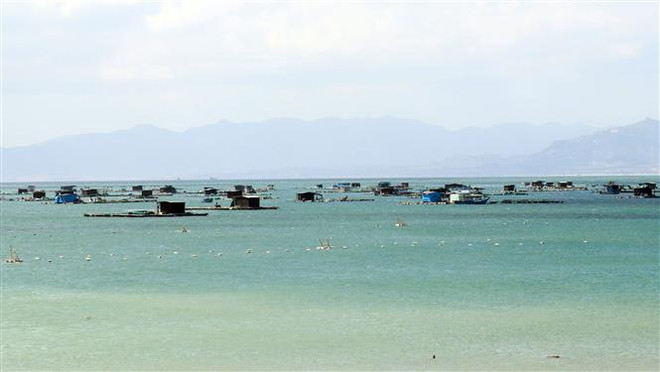 Ninh Thuận mở hướng cho nghề nuôi trồng thủy sản trước thời cơ mới ảnh 2