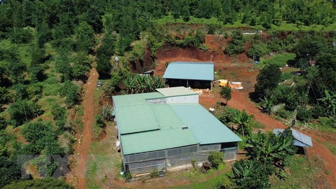 Đắk Nông: Cấp sai 65 sổ đỏ có lỗi của đơn vị được giao đất, giao rừng ảnh 1