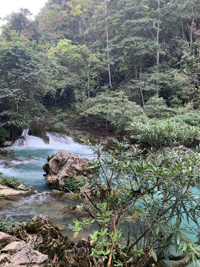Suối nước trong xanh trong Khu Di tích Pác Bó. (Nguồn: Vietnam+) vnp_1405suoiLenin.jpg