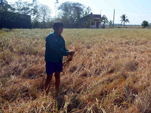 Khô hạn, xâm nhập mặn vẫn tiếp diễn cho đến nửa đầu tháng 5 ảnh 1