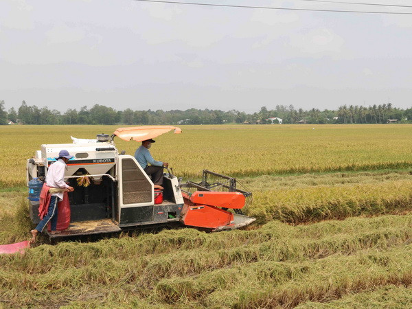 Venezuela phê chuẩn thỏa thuận hợp tác nông nghiệp với Việt Nam ảnh 1