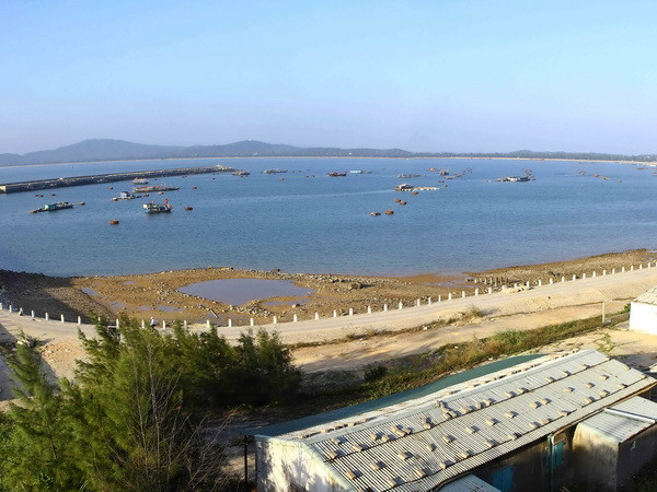 Quảng Ninh chỉ đạo làm rõ thông tin du khách bị “bỏ rơi” ở Cô Tô ảnh 1