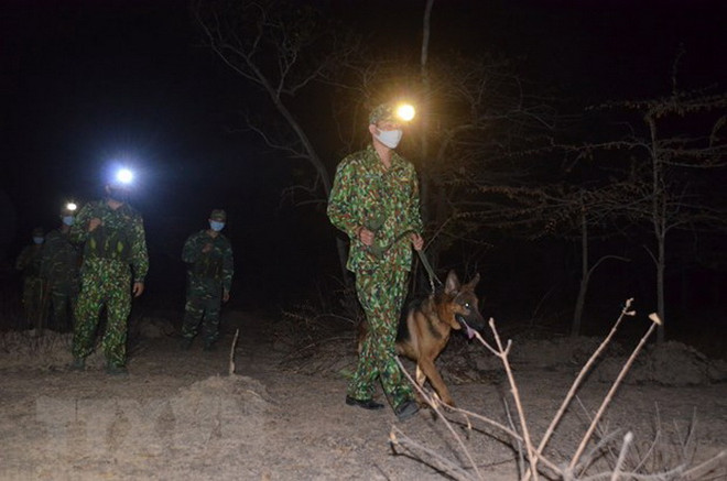 Long An kiểm soát chặt biên giới, xử lý nghiêm trường hợp vi phạm ảnh 1