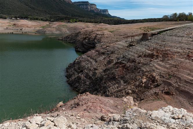 Tây Ban Nha giải cứu cá khỏi dòng sông khô cạn do hạn hán ảnh 1