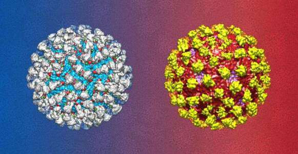 Những sự kiện quốc tế nổi bật diễn ra trong tuần từ 29/6-5/7 ảnh 7