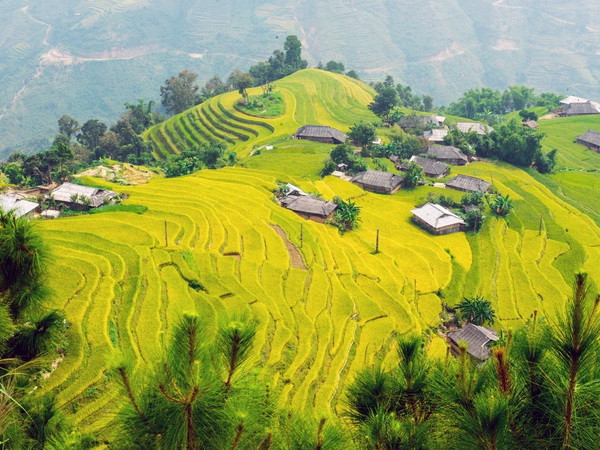 Ngành du lịch nỗ lực hoàn thành mức tăng trưởng 30% ảnh 1