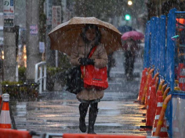 Tuyết rơi ở Tokyo. (Nguồn: AFP) Lần đầu sau hơn nửa thế kỷ, tuyết rơi ở Tokyo vào tháng 11 ảnh 1