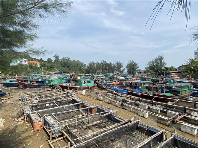 Các tỉnh từ Quảng Ninh đến Quảng Ngãi chủ động ứng phó với bão số 3 ảnh 1