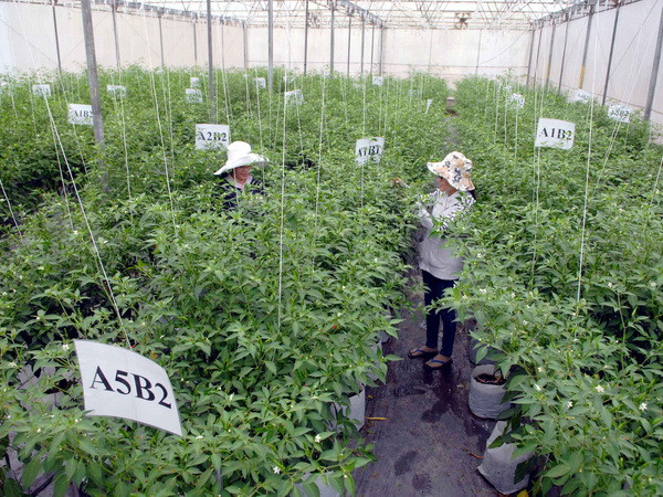 Việt Nam-Nhật Bản hợp tác ứng dụng công nghệ vào nông nghiệp ảnh 1