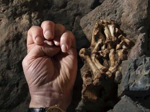 Những sự kiện quốc tế nổi bật trong tuần từ ngày 30/3-5/4 ảnh 8