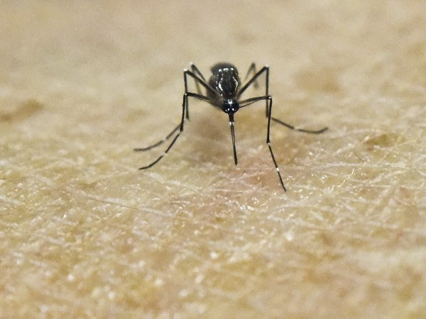 Mỹ đã ghi nhận trường hợp tử vong đầu tiên do virus Zika ảnh 1
