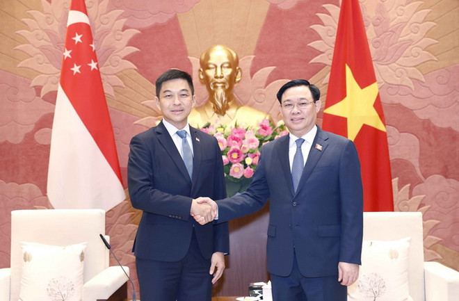 Chủ tịch Quốc hội đón, hội đàm với Chủ tịch Quốc hội Singapore ảnh 1