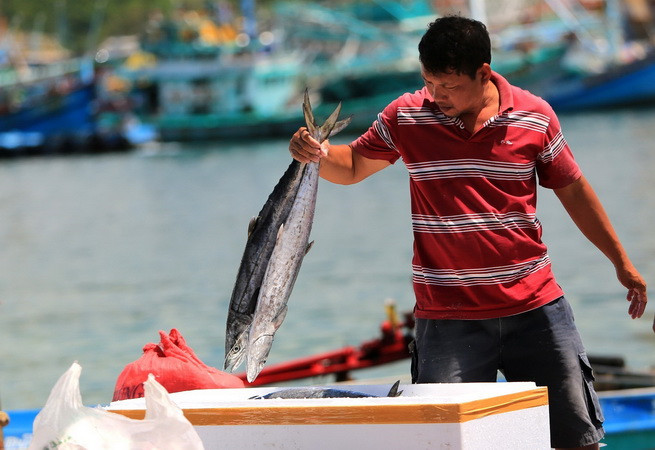 Các đặc khu kinh tế được kỳ vọng là những cực tăng trưởng mới ảnh 2