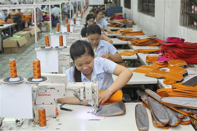 TP.HCM: Số lao động cần tuyển mới trong tháng 9 tăng 20% ảnh 2