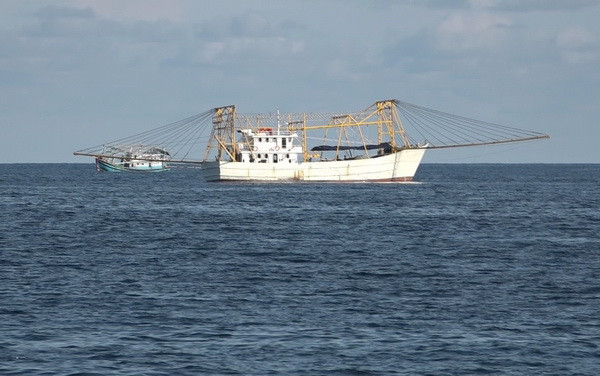 Bình Thuận hoàn thiện đội tàu công suất lớn, đánh bắt xa bờ ảnh 1