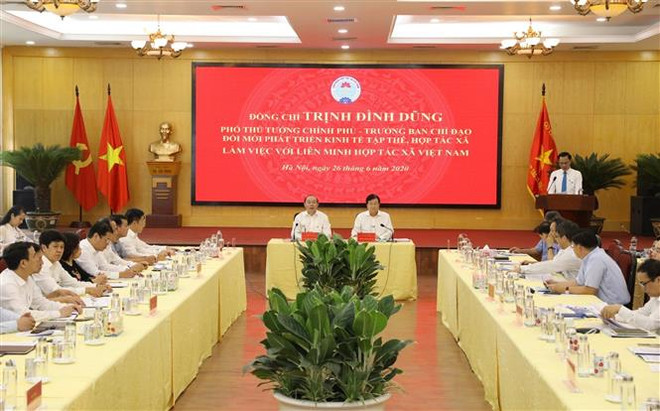 PTT Trịnh Đình Dũng: Hợp tác xã phải lấy hiệu quả kinh tế làm thước đo ảnh 3