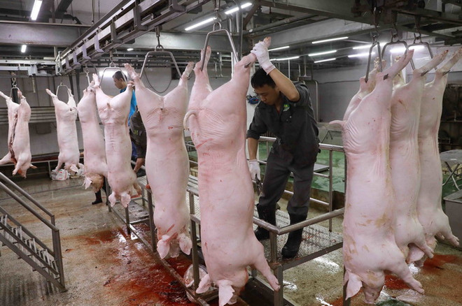 Nguồn cung thực phẩm cho Tết dồi dào nhưng cần tính dài hơi ảnh 3