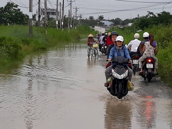 Bạc Liêu: Triều cường cao kỷ lục nhưng không gây thiệt hại như tin đồn ảnh 1