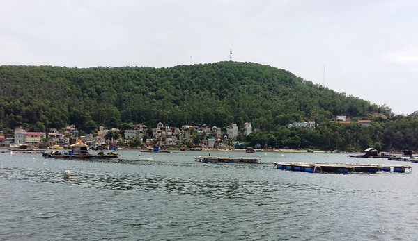 Chất lượng nước biển ven bờ của Việt Nam đang suy giảm ảnh 1