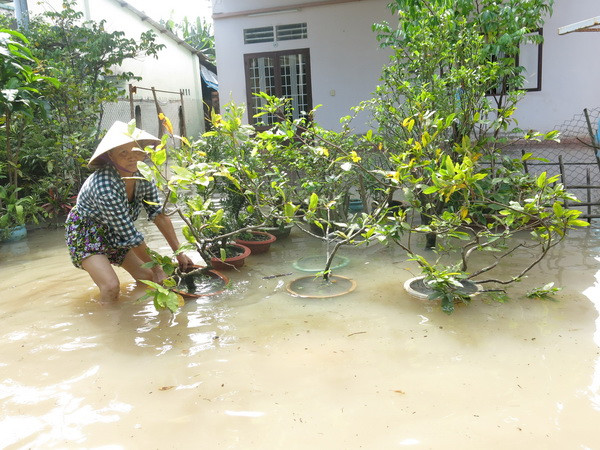 Mưa lan rộng, triều cường phía Nam đạt đỉnh sẽ gây ngập úng ảnh 1