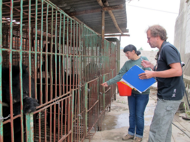 Gấu nuôi tại các trang trại tư nhân ở Quảng Ninh đang kêu cứu ảnh 1