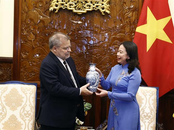 Quyền Chủ tịch nước Võ Thị Ánh Xuân tiếp Đại sứ Brazil chào từ biệt ảnh 2