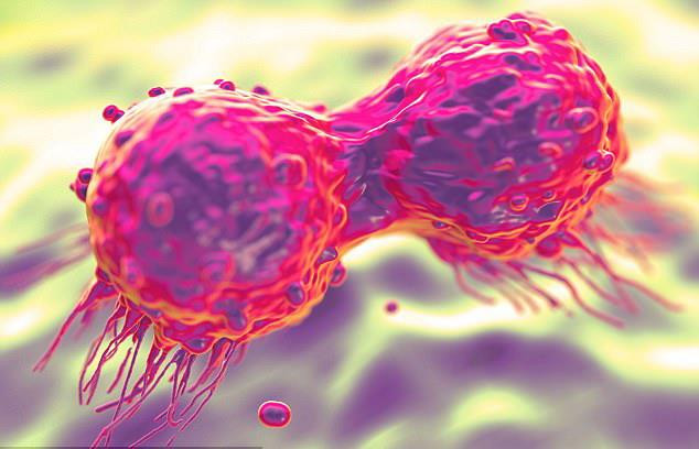 Phát hiện ''gót chân Achilles'' của loại gene gây nên ung thư ảnh 1