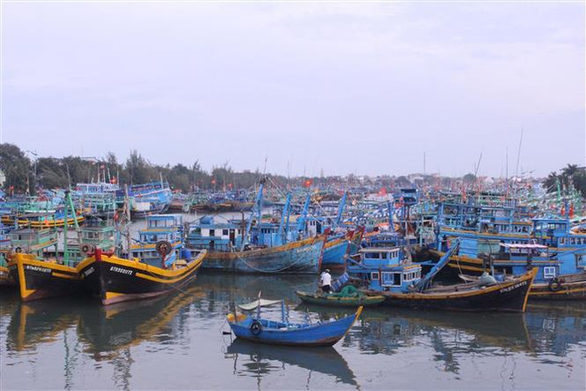 Nam Định cấm biển, kêu gọi các phương tiện vào bờ ảnh 1