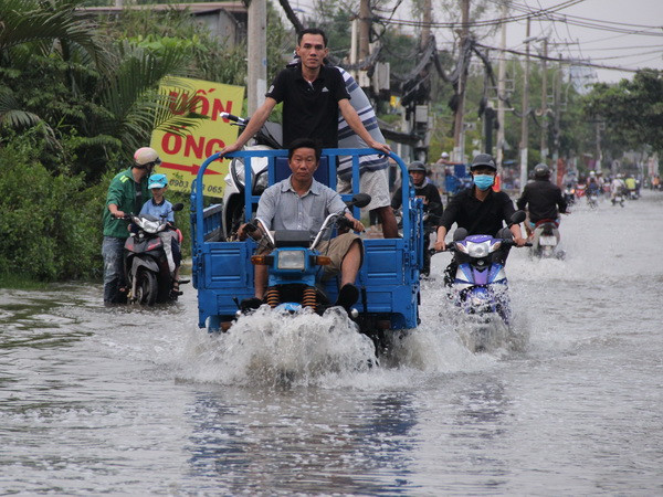 Giải pháp nào cho vấn đề ngập nước do triều cường ở TP.HCM? ảnh 1