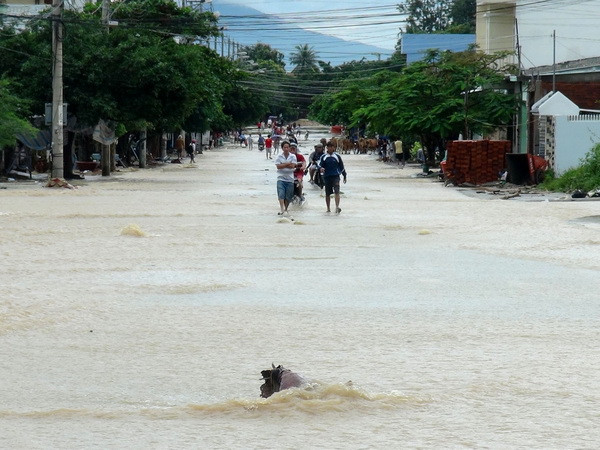 Ngập lụt trên một con đường ở phường Vĩnh Hòa, thành phố Nha Trang. (Ảnh: Nguyên Lý/TTXVN) Lũ trên các sông ở Khánh Hòa dâng cao, đã có 1 người chết ảnh 1