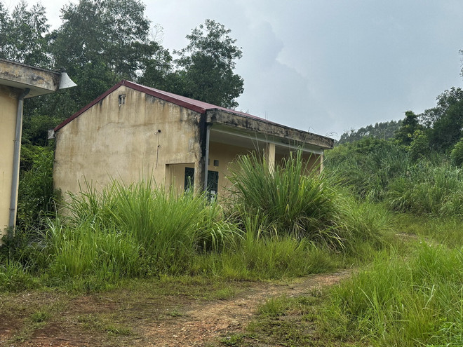 ttxvn_2208_lang thanh nien (3).jpg