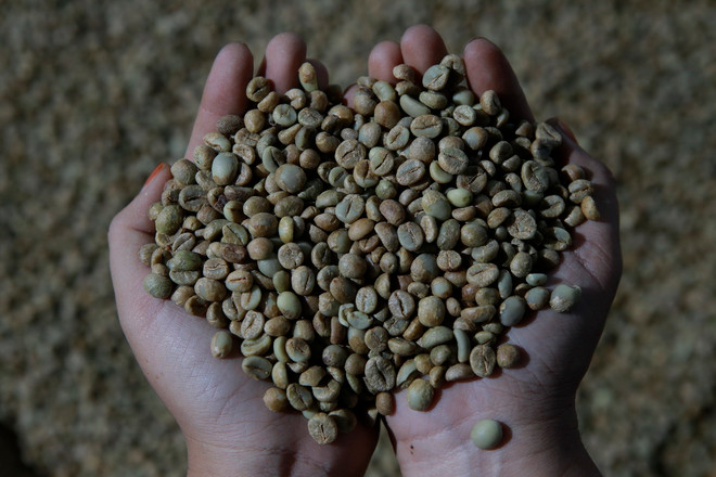 ttxvn_0906_ca phe.jpg