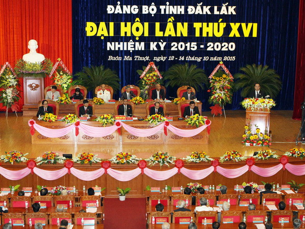 Đắk Lắk tận dụng tiềm năng phát triển các loại cây công nghiệp ảnh 1