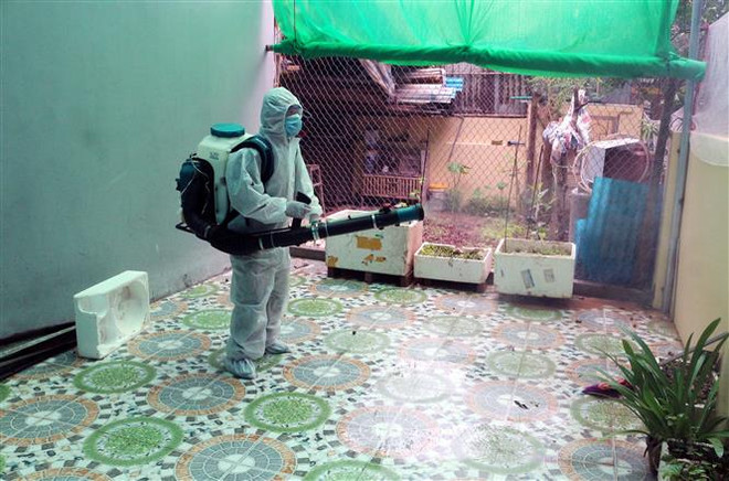 Đà Nẵng: Báo động xuất hiện nhiều ổ bệnh sốt xuất huyết ảnh 1