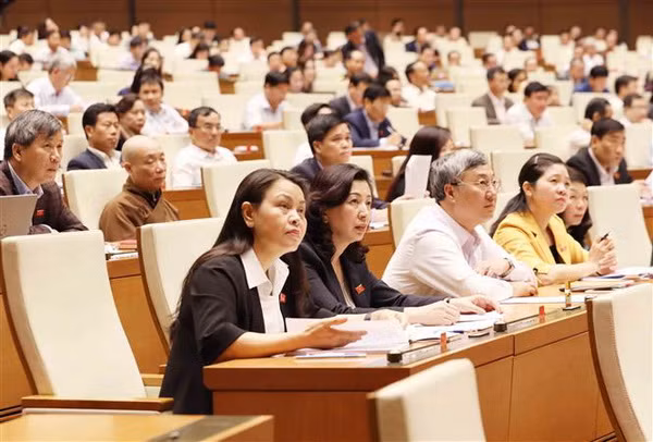 Họp Quốc hội: Chất vấn các thành viên Chính phủ về nhiều vấn đề nóng ảnh 3