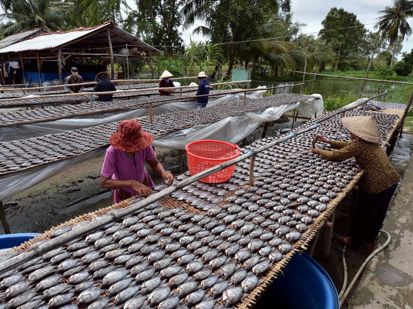 Cà Mau đăng ký đưa cá khô bổi thành thương hiệu đặc sản ảnh 1