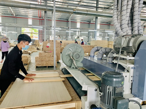 Sáu tháng đầu năm, tăng trưởng kinh tế Bình Dương đạt 6,85% ảnh 1