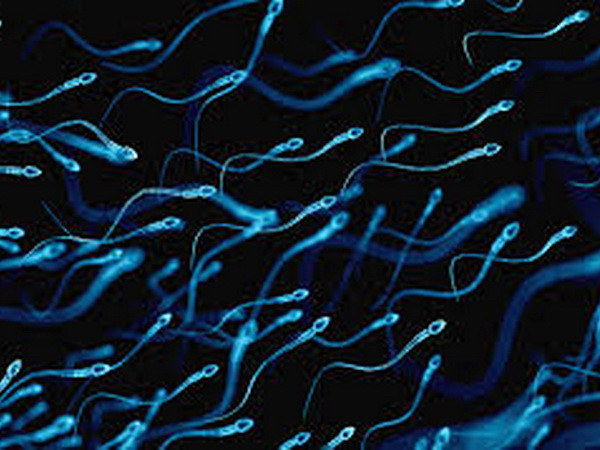 Phát hiện mới về khả năng tồn tại của virus Zika trong tinh trùng ảnh 1