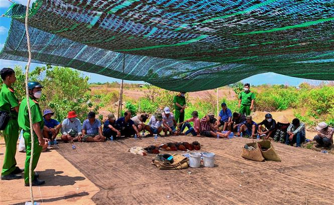 Bạc Liêu: Triệt phá tụ điểm đánh bạc bằng hình thức đá gà ảnh 1