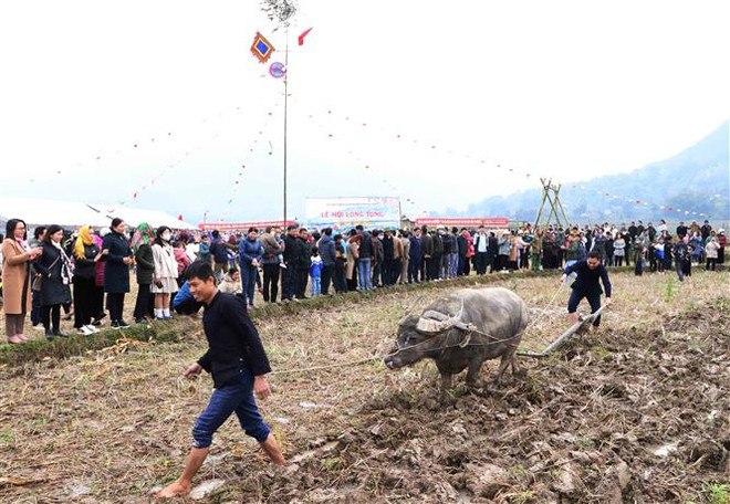 Lai Châu: Tưng bừng lễ hội Lùng Tùng của người Thái ở Than Uyên ảnh 1