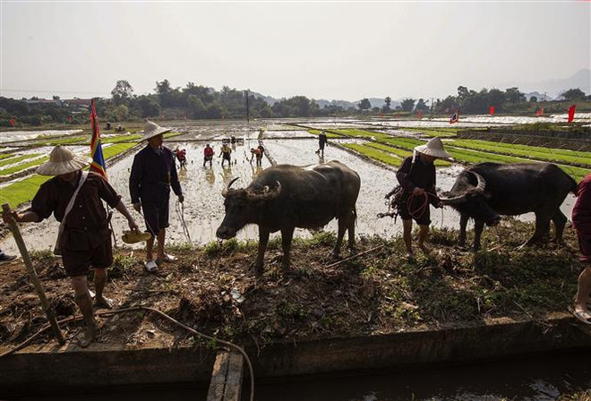 Ngày Tết đến Hòa Bình để hòa mình vào Lễ hội Khai hạ dân tộc Mường ảnh 4