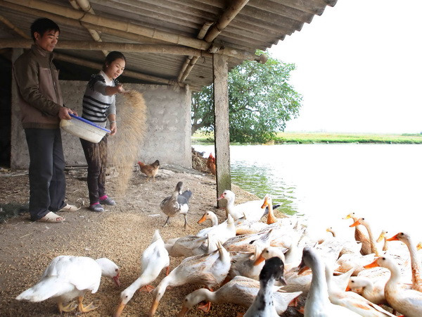 Vùng Tây Bắc thực hiện tốt Chỉ thị 01 về công tác Tin Lành ảnh 1