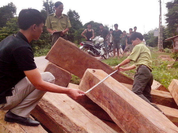 Bình Phước: Phát hiện 40 khối gỗ lậu ở khu vực biên giới ảnh 1