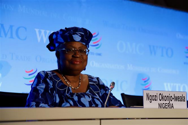 Bà Ngozi Okonjo-Iweala tại một cuộc họp báo ở Geneva, Thụy Sĩ. (Ảnh: THX/TTXVN) Việt Nam ủng hộ và chúc mừng tân Tổng Giám đốc WTO ảnh 1