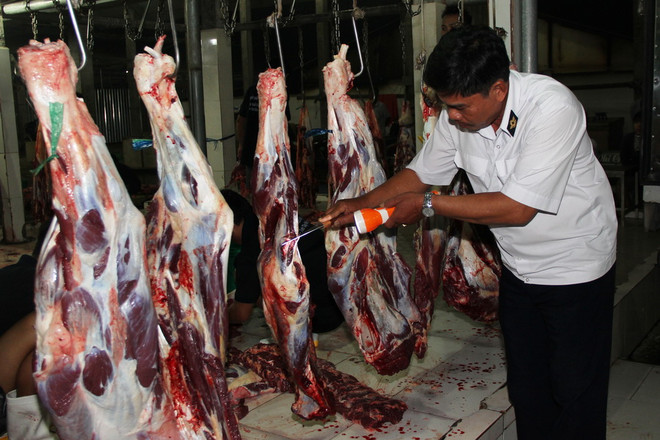 Bảo đảm an toàn thực phẩm phục vụ Đại hội Đảng lần thứ XII ảnh 1