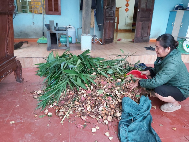 Ngày Quốc tế Phụ nữ: Những phụ nữ vùng cao “xé rào” định kiến ảnh 2