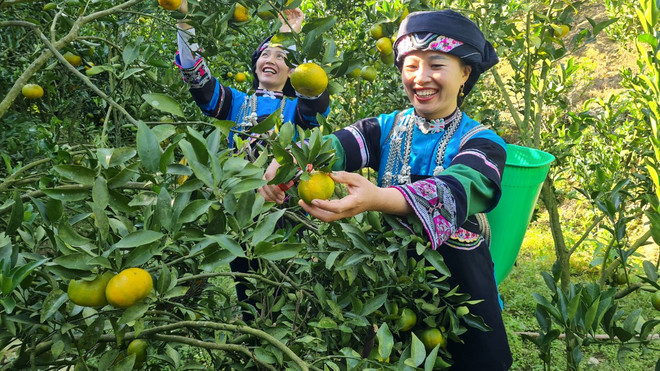 Ngày Quốc tế Phụ nữ: Những phụ nữ vùng cao “xé rào” định kiến ảnh 1