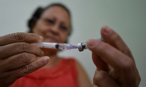 Dịch sốt vàng da đang diễn biến nghiêm trọng tại Brazil ảnh 1