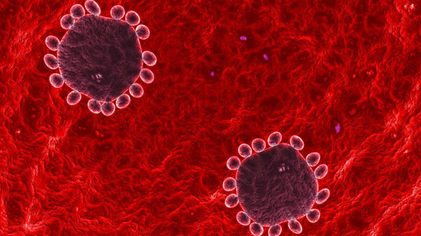 Sự kiện quốc tế tuần 17-23/8: Bán đảo Triều Tiên "căng như dây đàn" ảnh 8