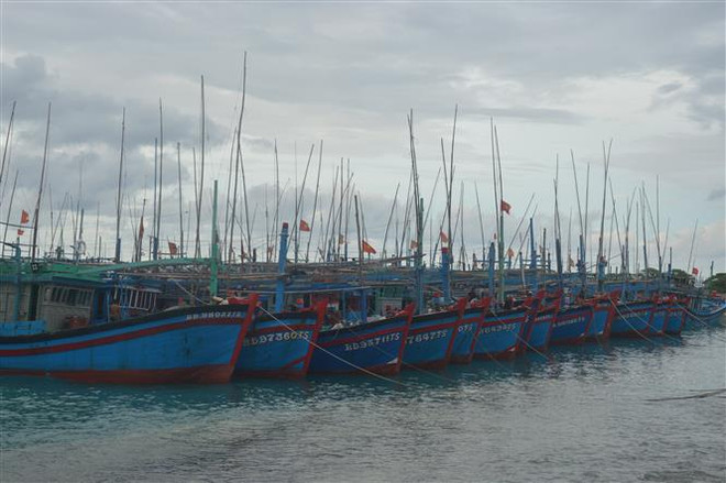 Khánh Hòa thông báo cho gần 600 tàu cá chủ động tránh bão số 6 ảnh 1